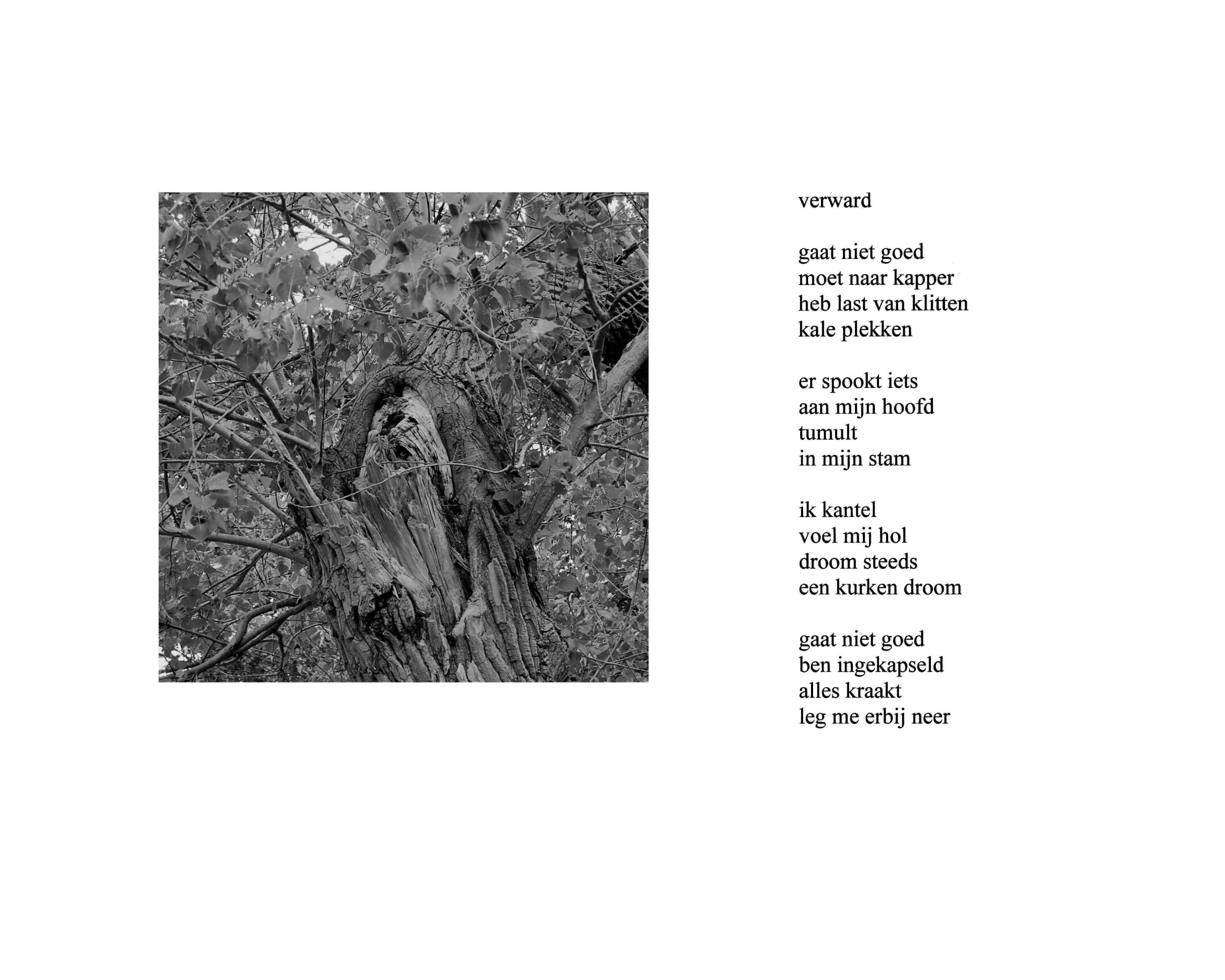Verward