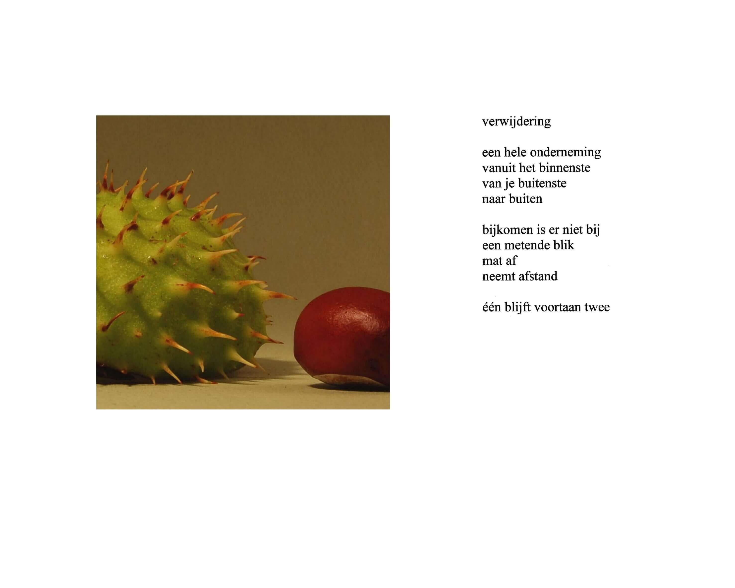 Verwijdering